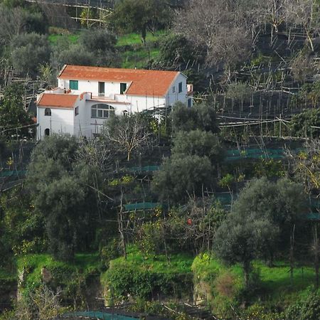 Azienda Agricola Veniero Piano di Sorrento Exterior foto